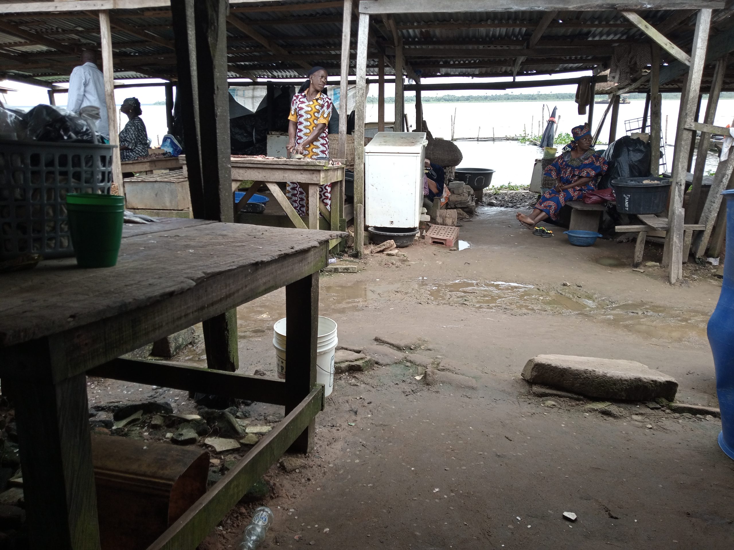 Fish Preservation with High Carbon Foot Print Fish Preservation with High Carbon Footprint