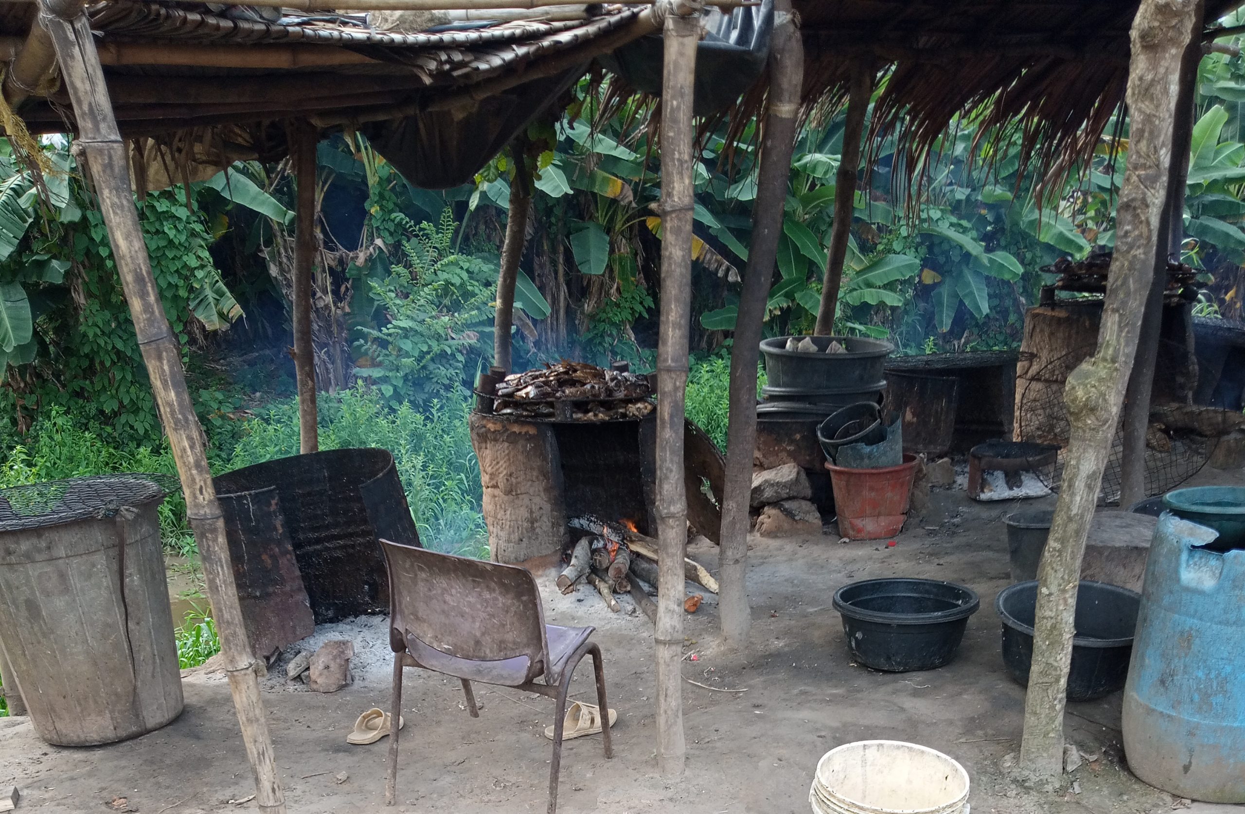 Fish Processing with High Carbon Foot Print 02.2 Fish Preservation with High Carbon Footprint.1